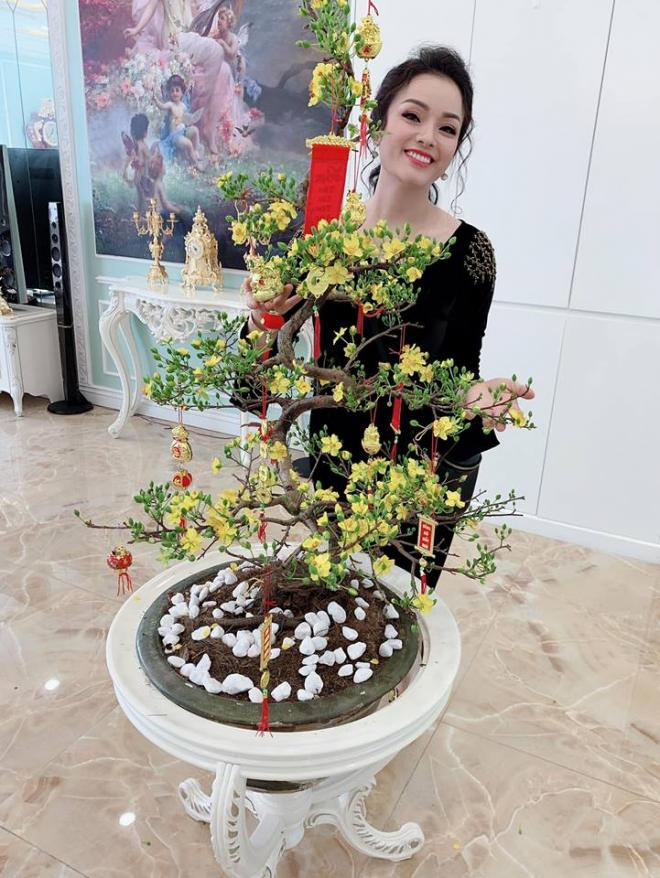 nhà ca sĩ Tân Nhàn 4 penthouse, ca sĩ Tân Nhàn, nhà của Tân Nhàn, sao Viêt, Tết nguyên đán 2019