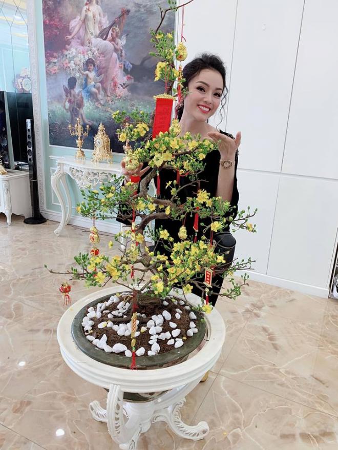 nhà ca sĩ Tân Nhàn 5 penthouse, ca sĩ Tân Nhàn, nhà của Tân Nhàn, sao Viêt, Tết nguyên đán 2019