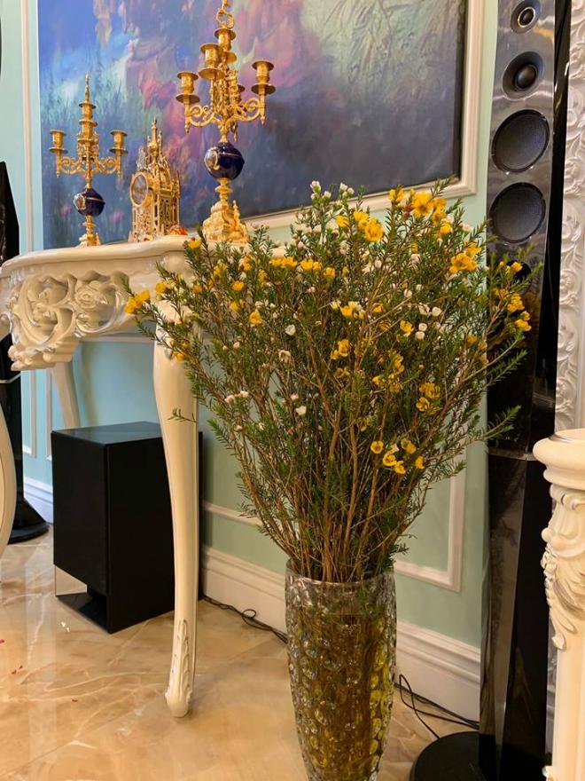 nhà ca sĩ Tân Nhàn 6 penthouse, ca sĩ Tân Nhàn, nhà của Tân Nhàn, sao Viêt, Tết nguyên đán 2019